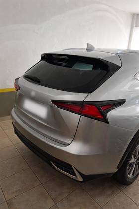 LEXUS NX 300 2.0 16V VVT-i TURBO GASOLINA LUXURY 6A/T AWD